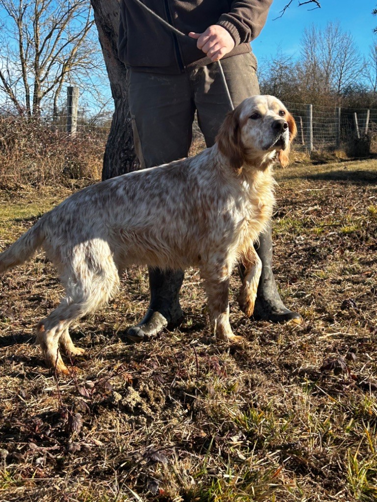 Naiwa Du Clos Lalande