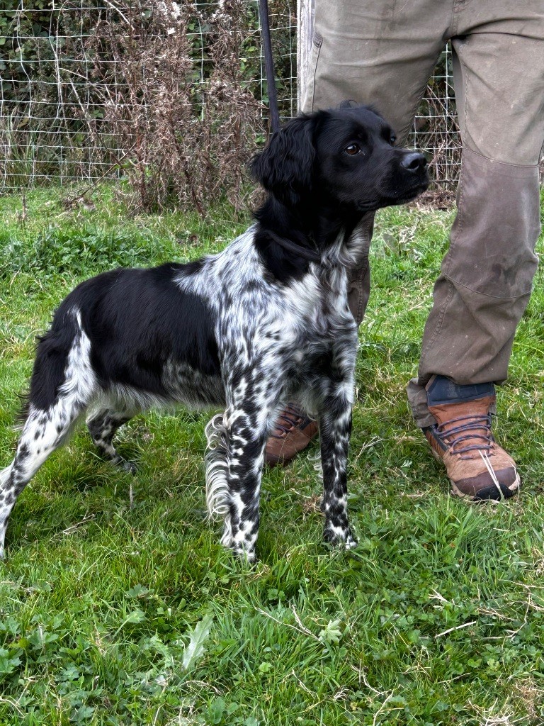 Vita De La Terrible Menée