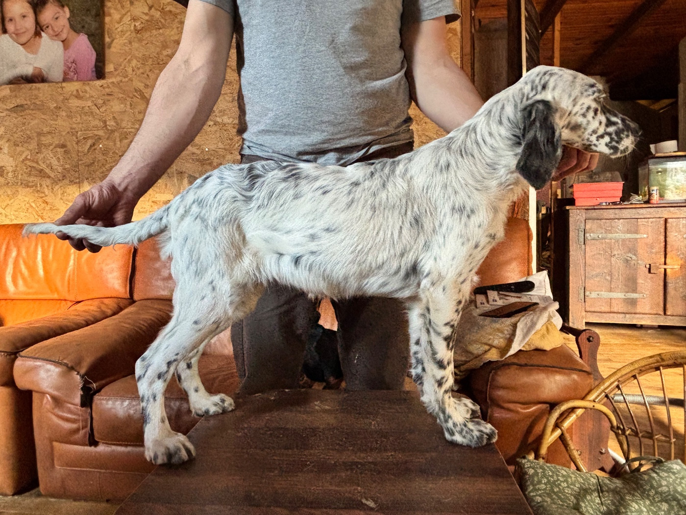 Azur De La Terrible Menée