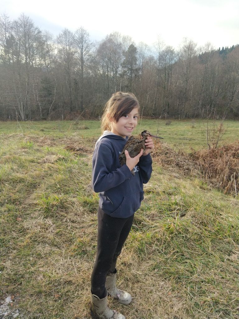 Chasse 2023